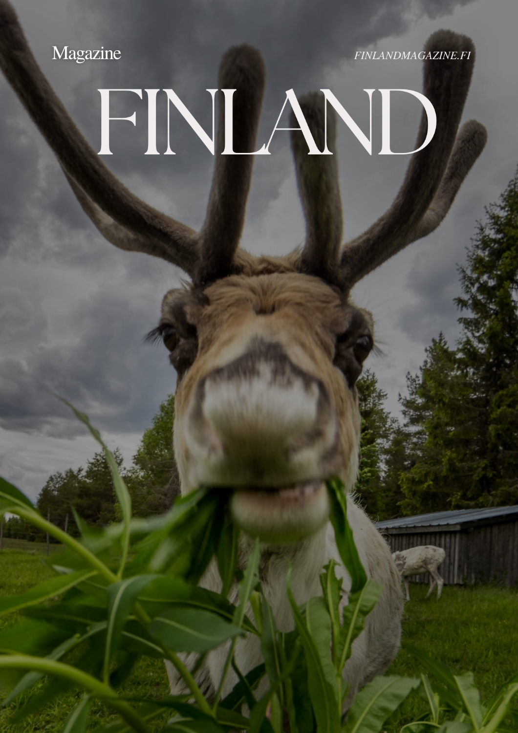 Reindeer and fishing farm-Kuusamo