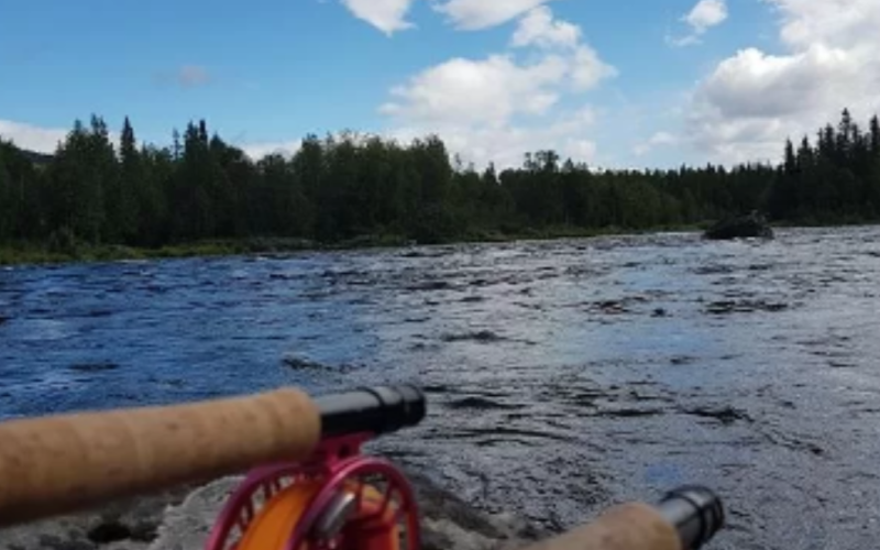Grayling and trout-Kuusamo