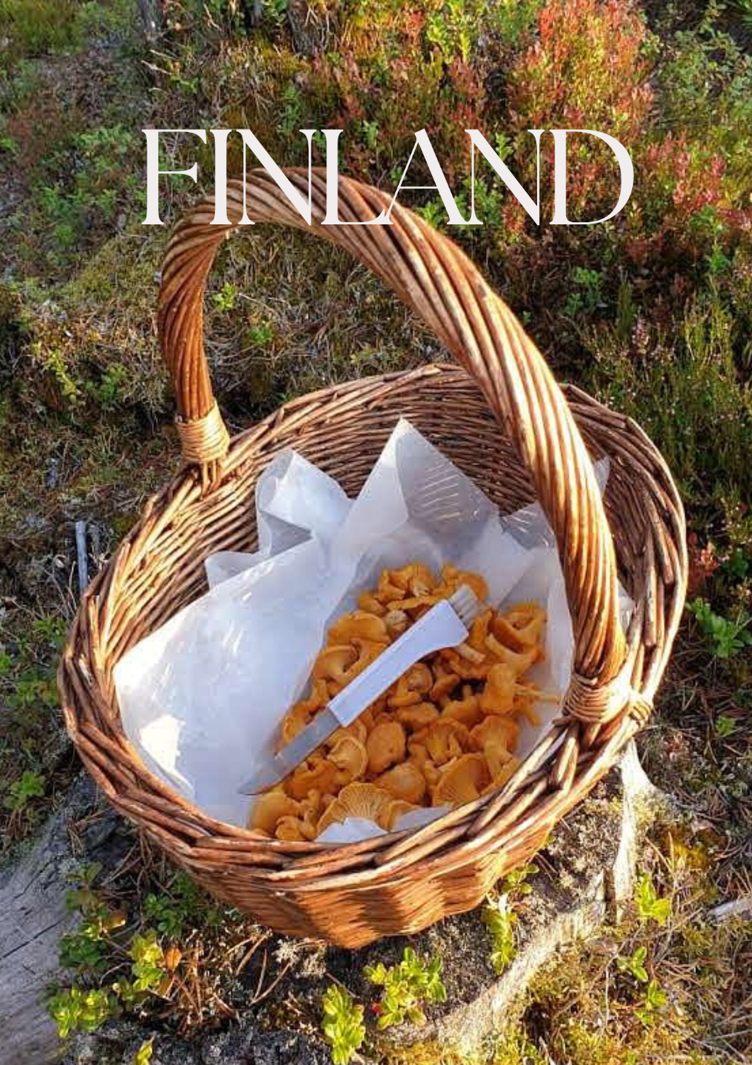 Finnish Mushrooms and Mushroom Picking / Autumn 2023