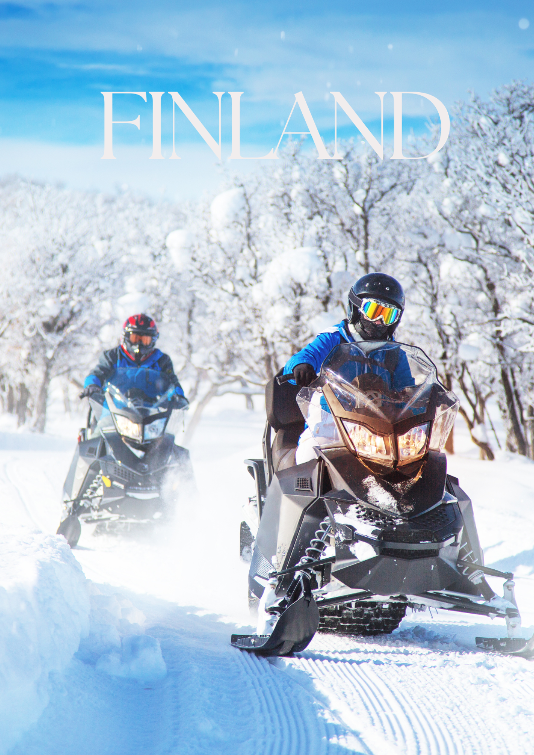 Snowmobile safaris