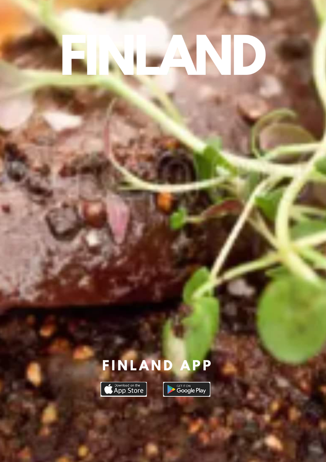 Reindeer steak/ Wild Food from Finland