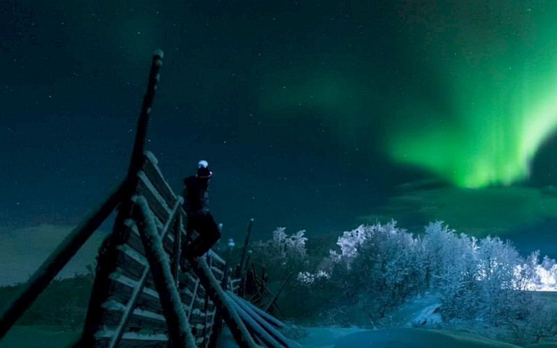 Northern Lights