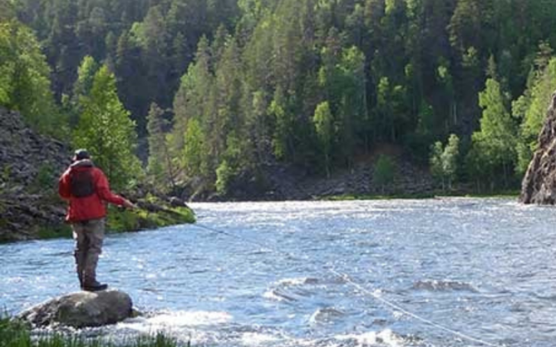 Adventure on the Kitka River