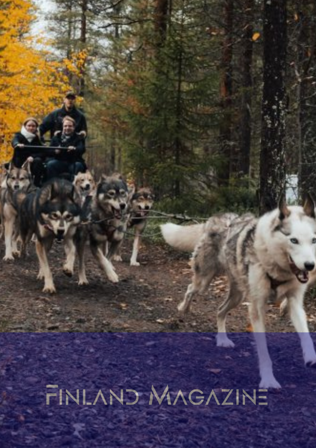 Can You Hear the Call of the Lapland Summer?