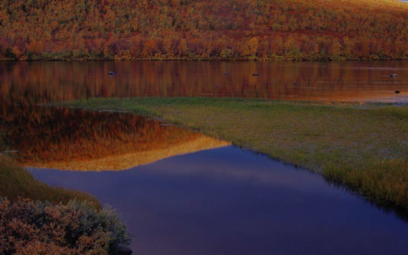 Autumn in Lapland 2025