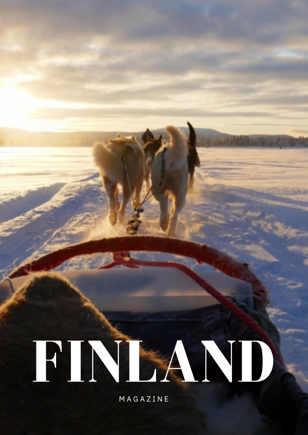 Snowmobile trip, Husky Safari, Snowshoeing -Inari