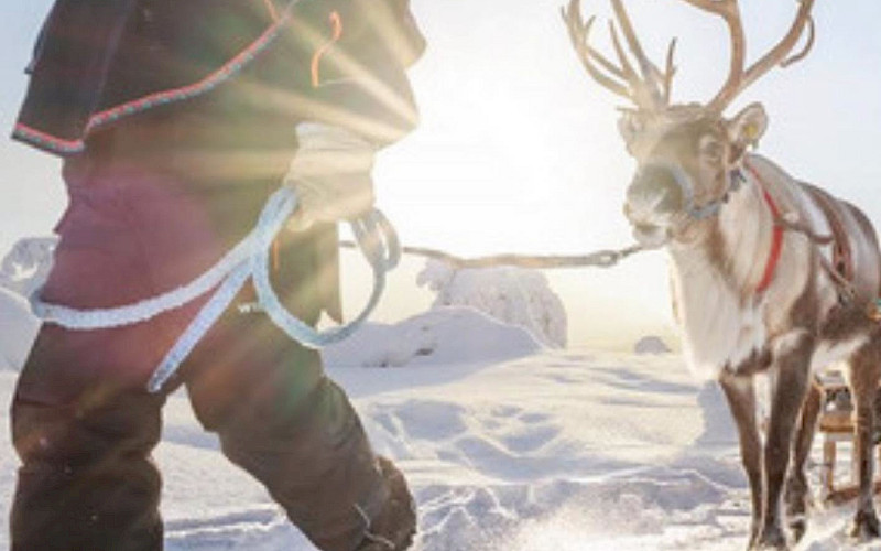 Kainuu-REINDEER SARARI